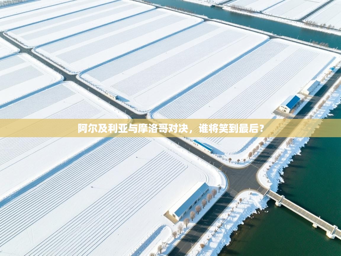 阿尔及利亚与摩洛哥对决，谁将笑到最后？  第1张